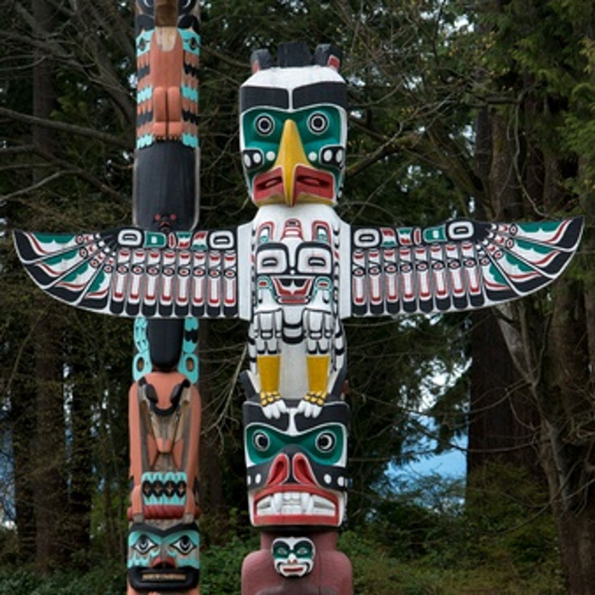 anno all estero canada select 11